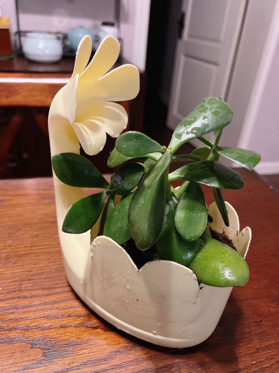 洗衣液空瓶自制小花盆 幼儿园作业打卡,洗衣液空瓶自制小花盆.