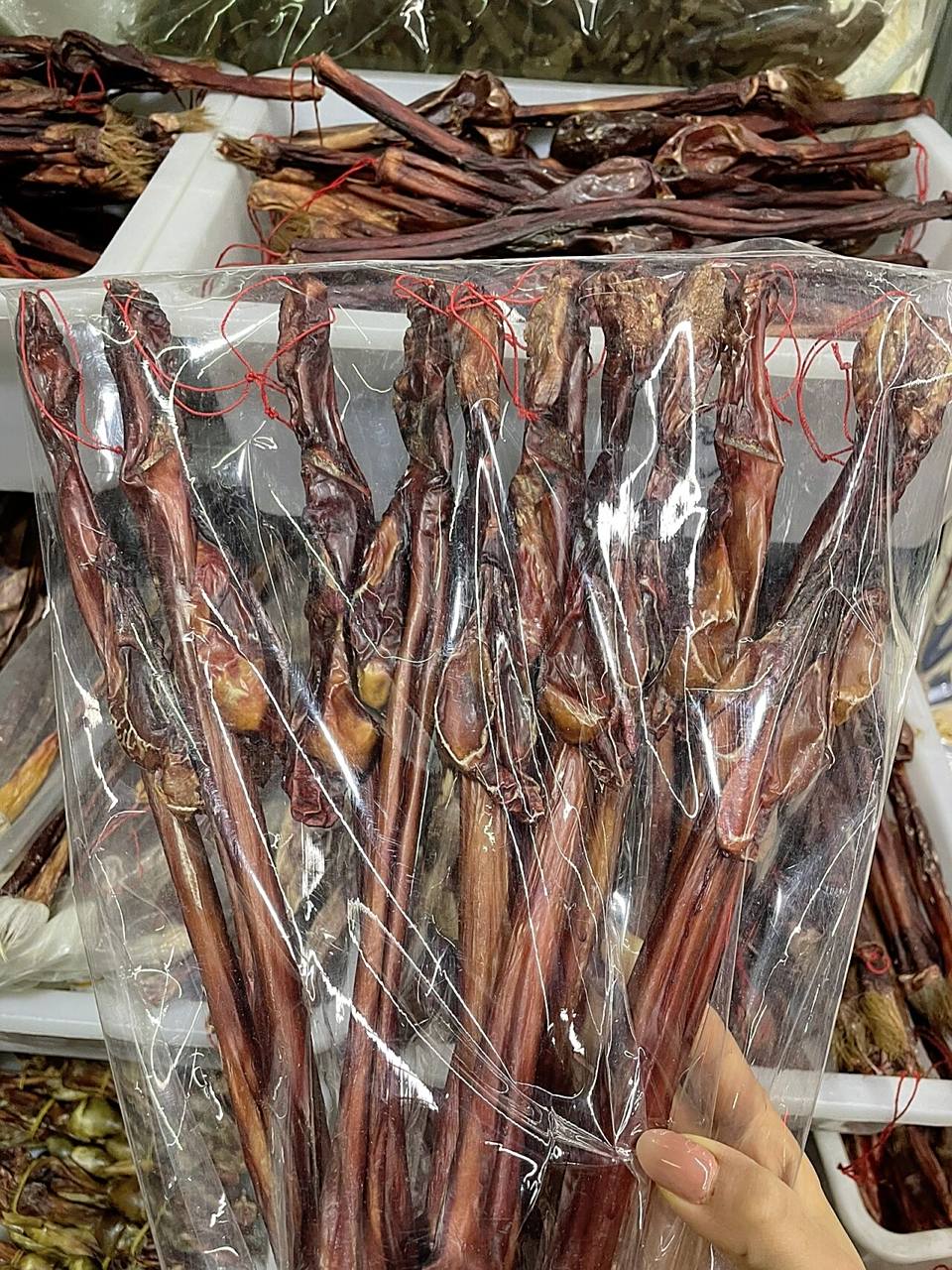 鹿鞭功效作用与禁忌      鹿鞭的功效与作用 7815补肾壮阳 鹿鞭