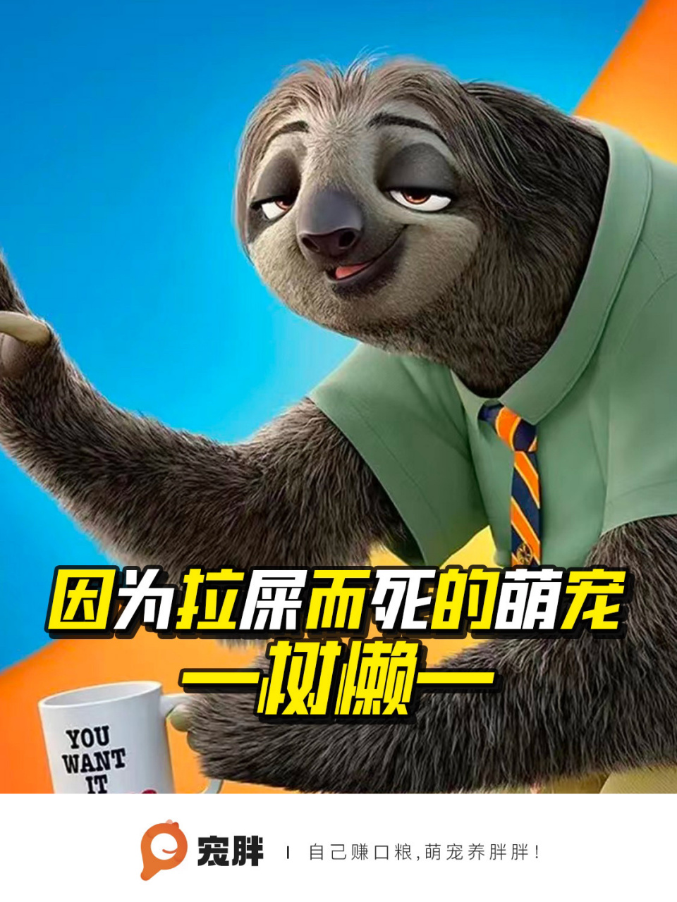 科普|因为拉屎而死的萌宠—树懒 话说谁不喜欢《疯狂动物城》里的闪电