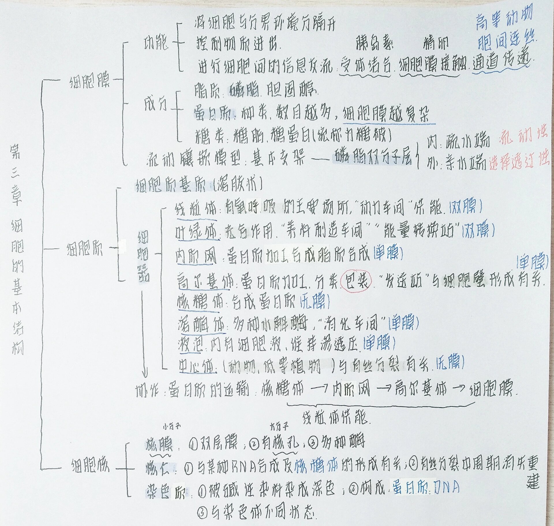 生物必修一第三章导图图片