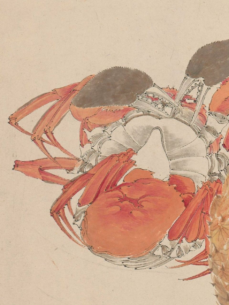 第149幅《菠萝菊蟹图》清(任伯年) 任颐(1840年-1895年),初名润,字伯