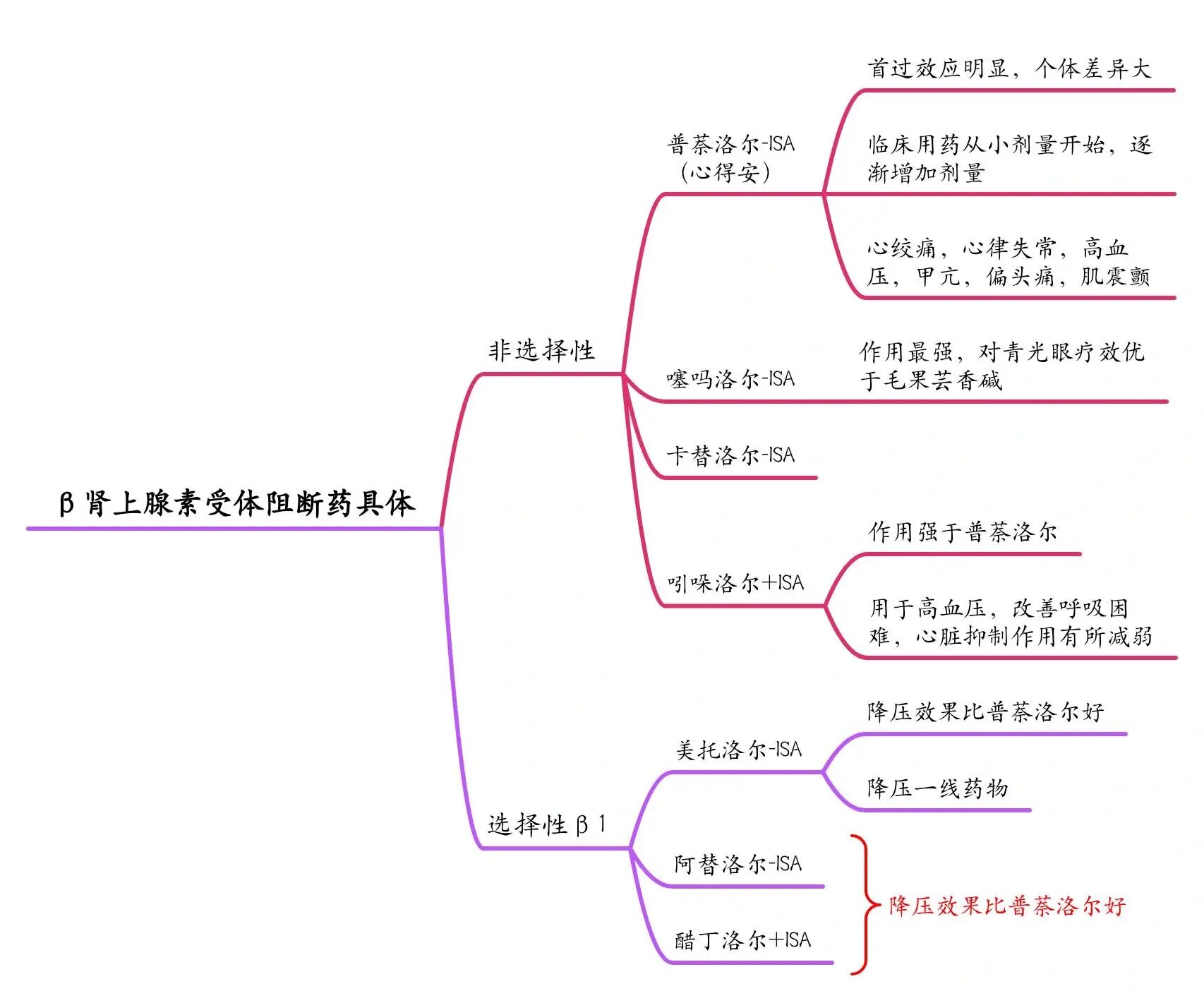 肾上腺素受体思维导图图片