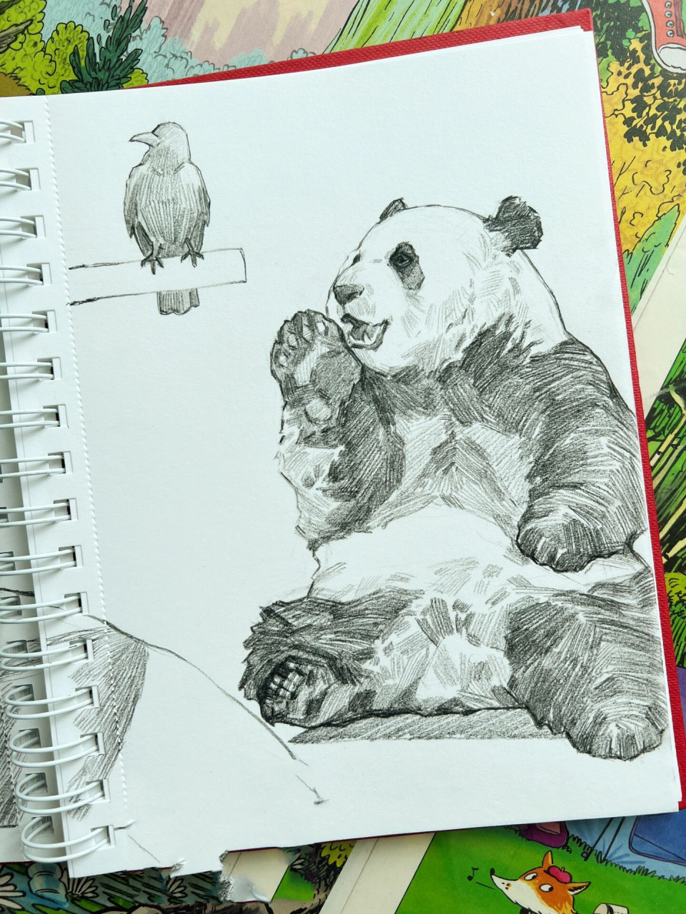 速写熊猫|来自三太子的治愈 如果不是有小伙伴留言说要看萌兰,我都不