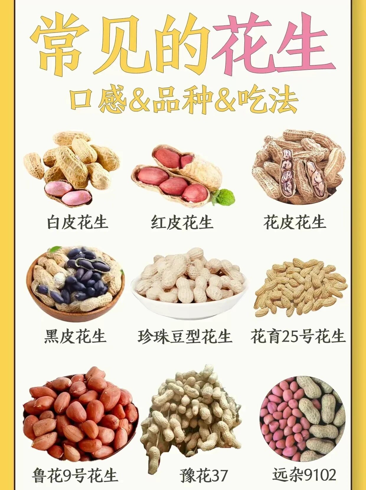 常见花生的区别及特点 🥜花生是一种营养丰富的食物,富含蛋白质