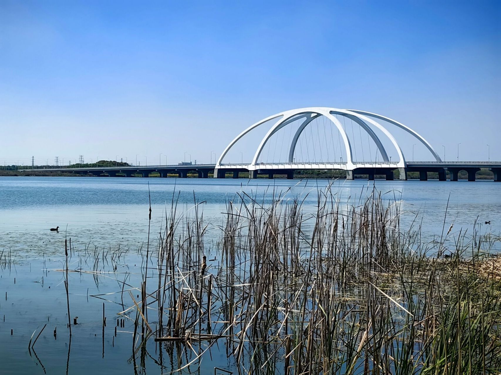 钱资湖湿地 q1金坛刷房,正值月季花展,这里是分会场,很适合散步休闲的