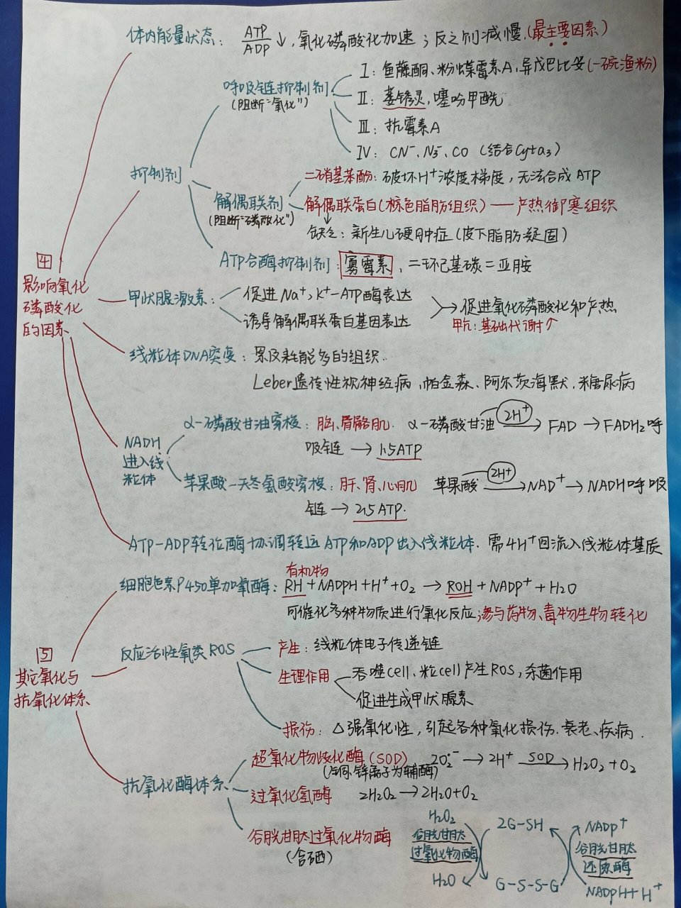 氧化物的思维导图图片