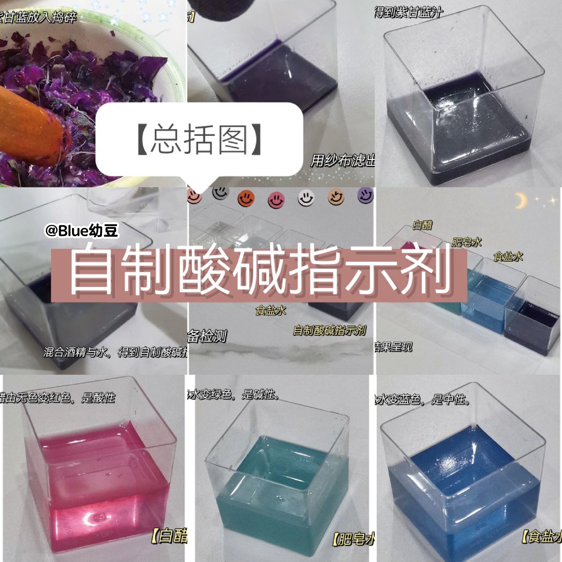 初三化学/自制酸碱指示剂wow