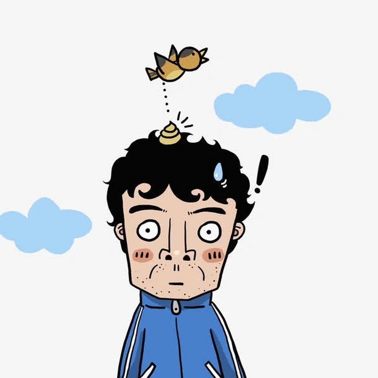 鸟便便落在头顶,好运还是厄运 啊啊啊,好生气,今天中午的遭遇如图