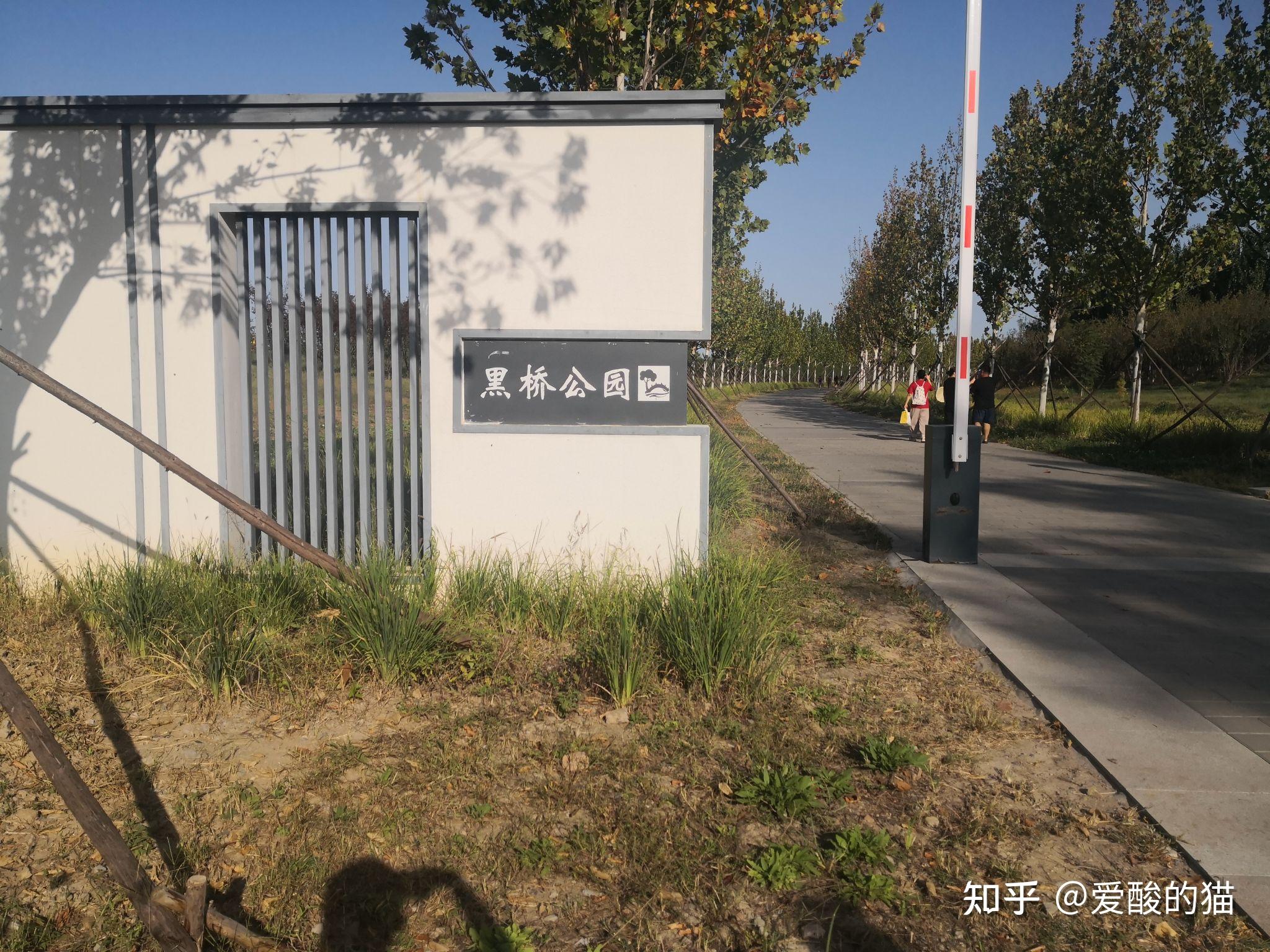黑桥公园 - 知乎