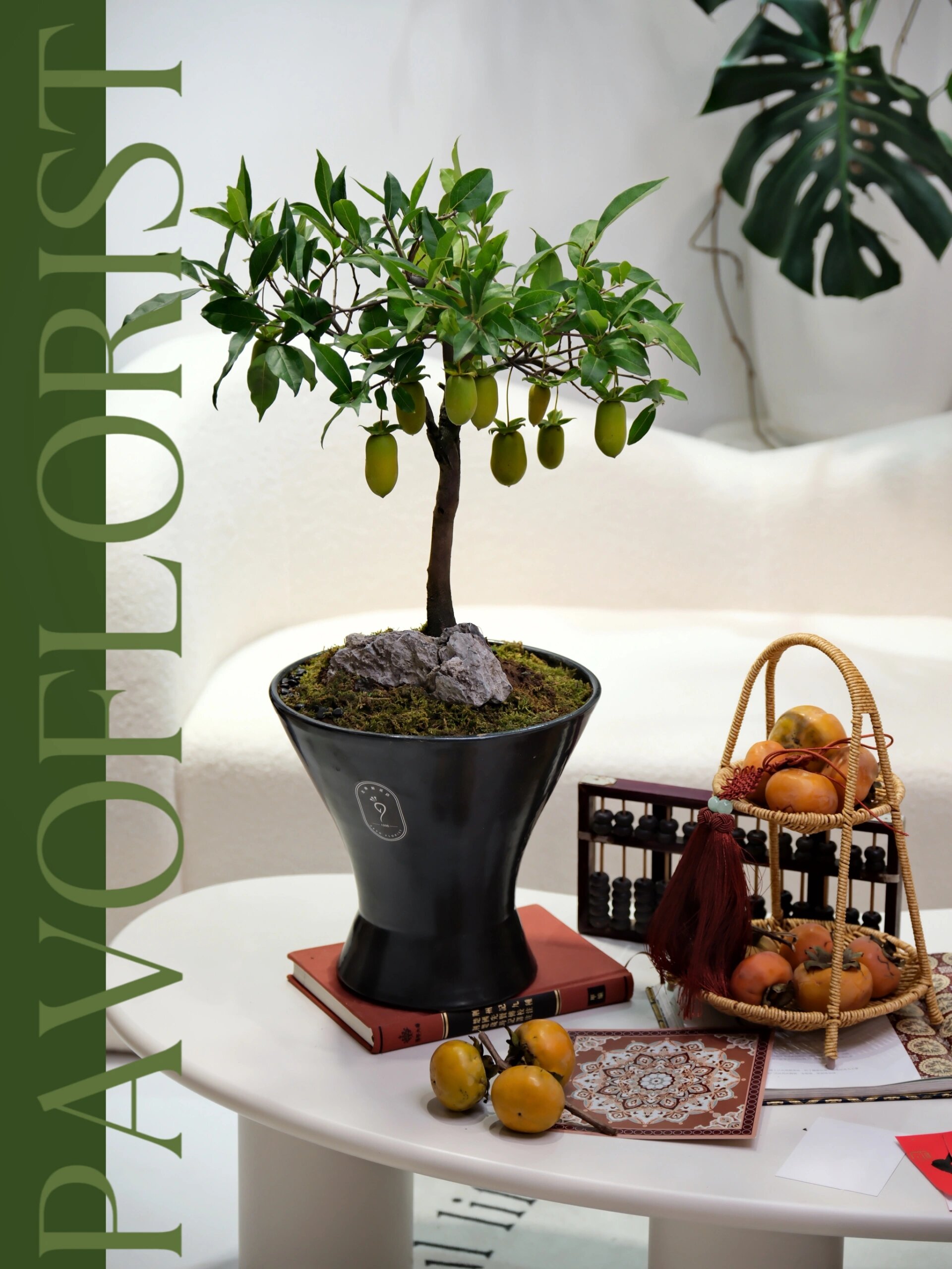 高档盆景 | 老鸦柿《事事如意