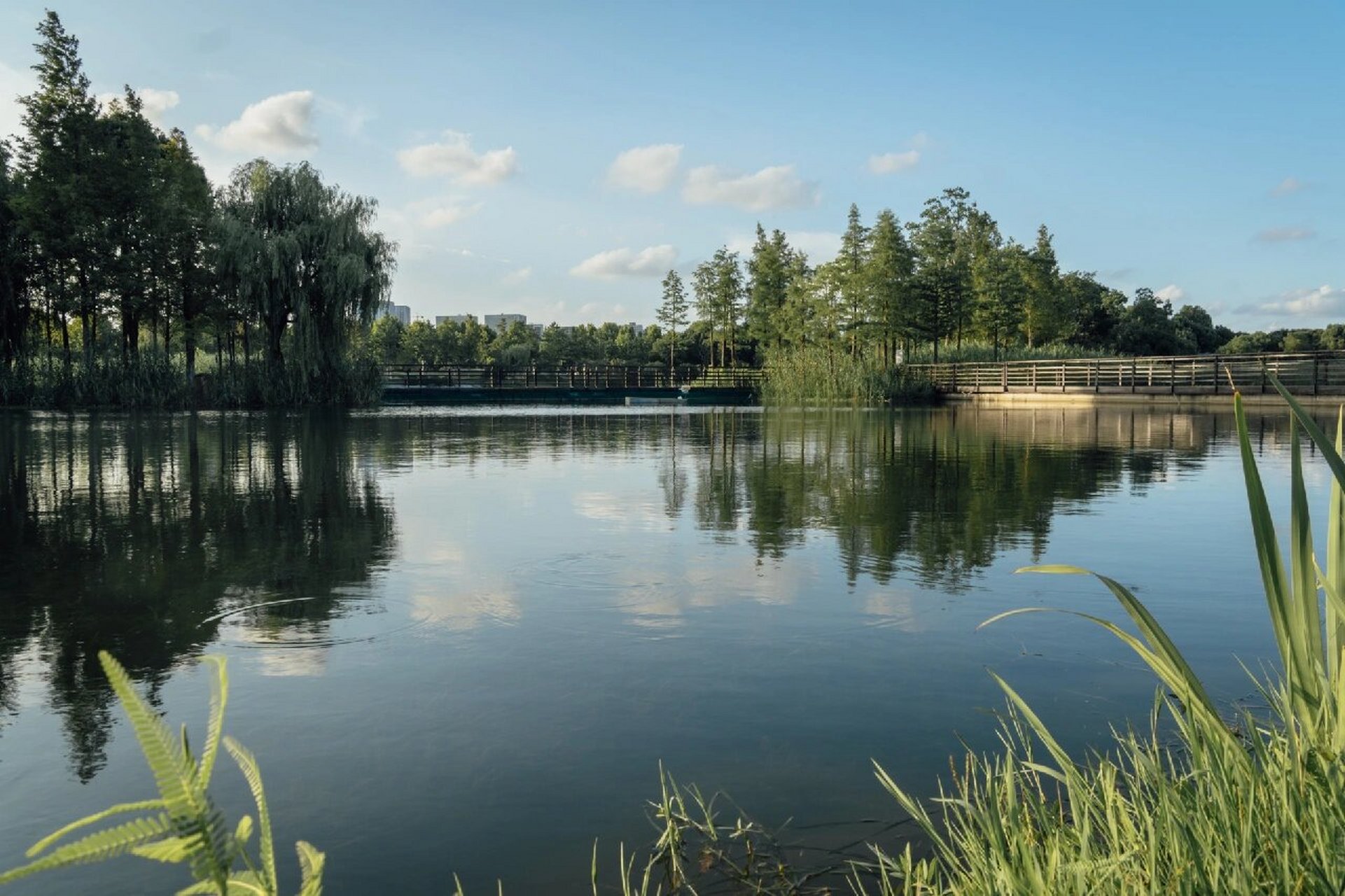 桐乡|凤凰湖 风光篇