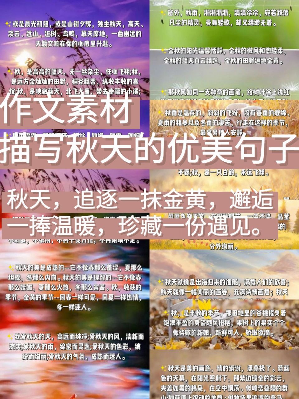 描写秋天的优美句子 78秋天是甘美的酒,秋天是壮丽的诗,秋天是动人