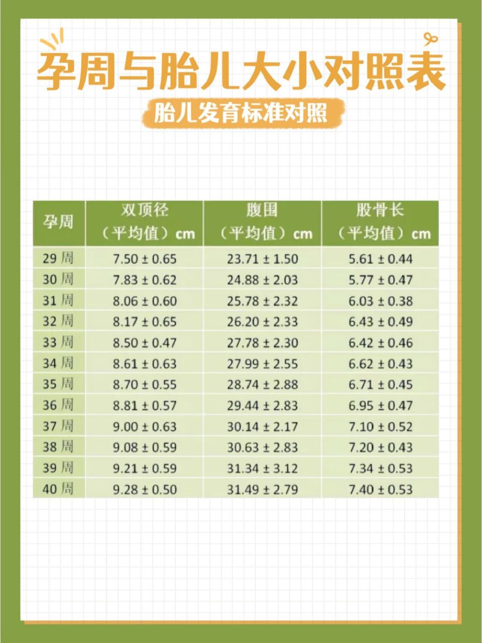 822月胎儿发育标准(5-8周) 胎儿已发育成人的形状了,通过监测仪已