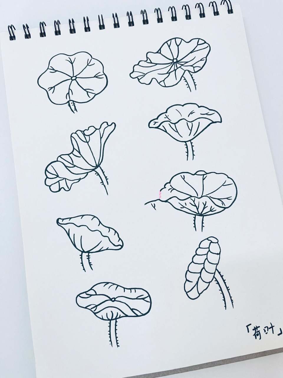 简笔画「荷叶」🍃🍃