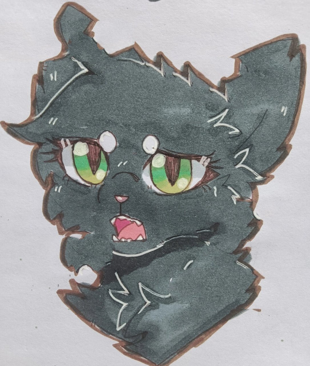 猫武士,黑莓星,桠枝,灰条    @78玫瑰羽～rose feather ～78 .