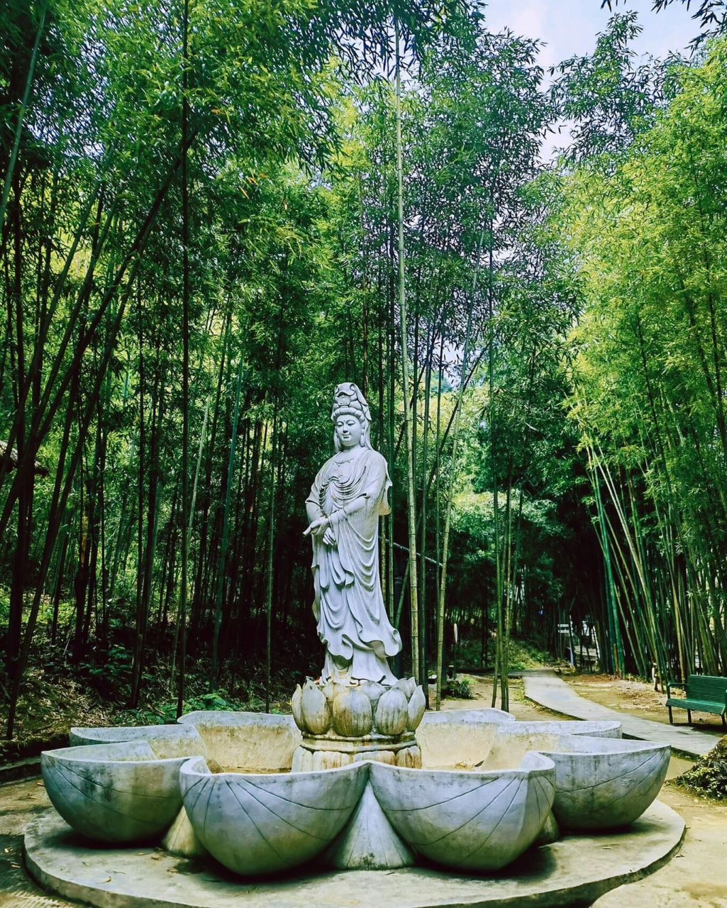 重庆周边游02梁平百里竹海 想逃离40多度的高温,远离城市的喧嚣