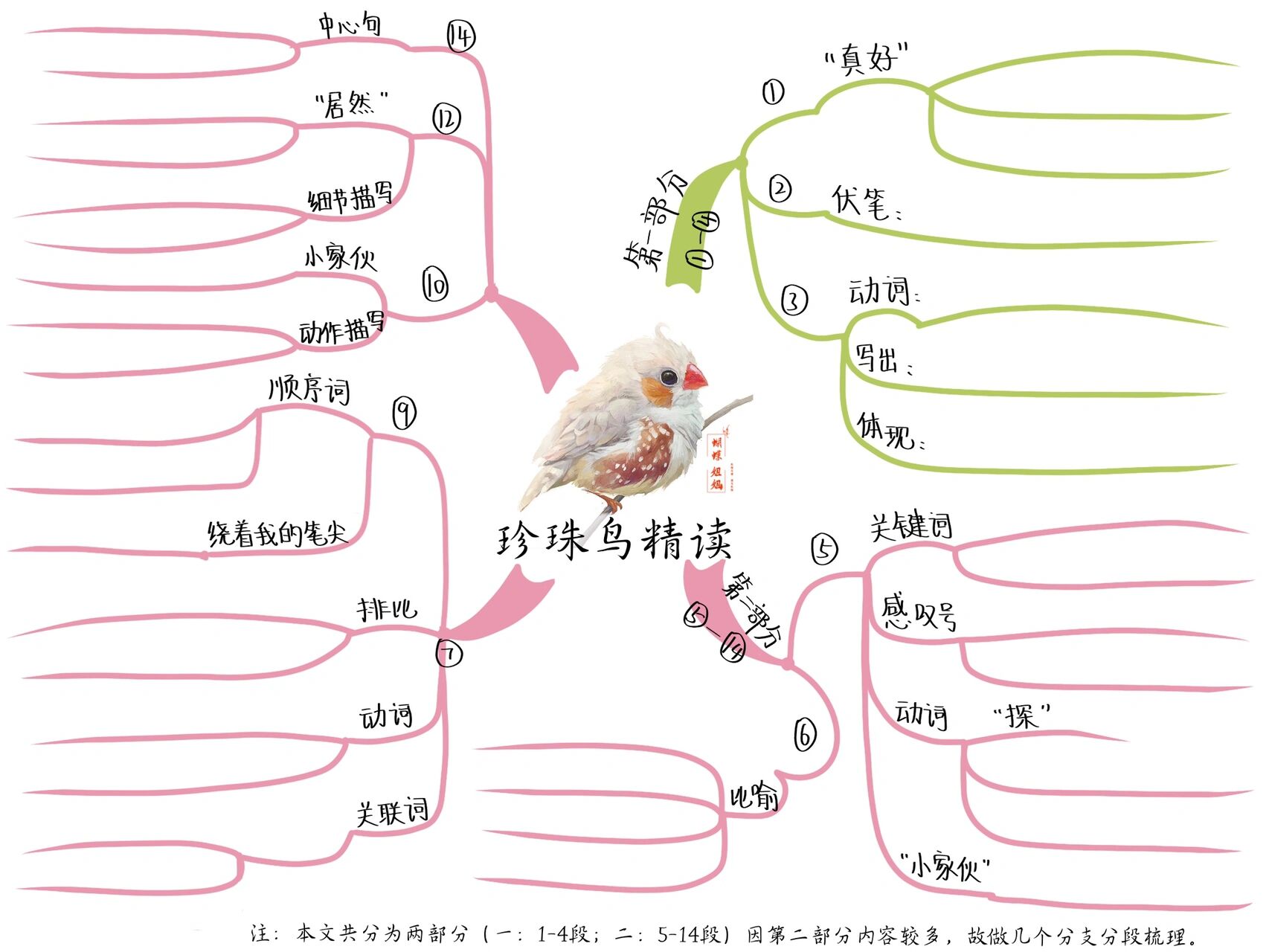 4珍珠鸟课文思维导图图片