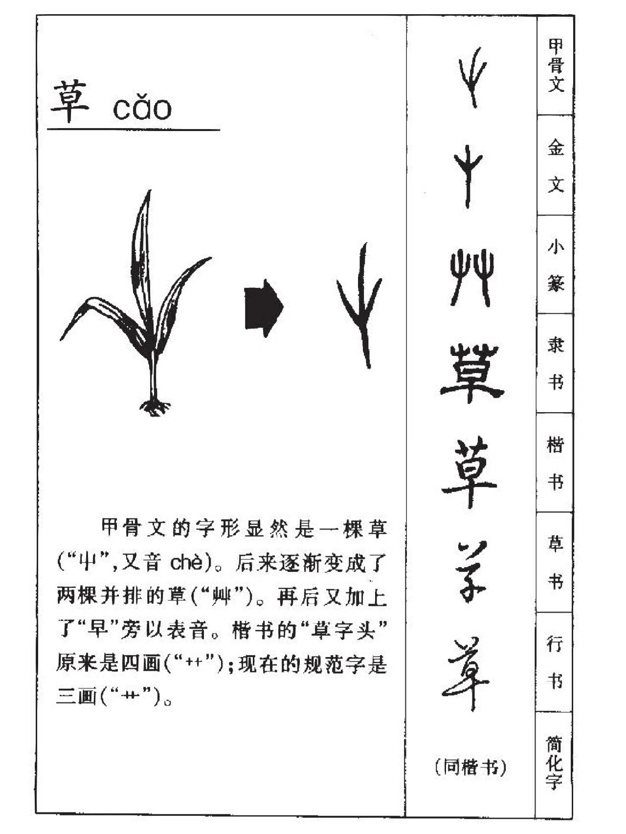 "草"字演化知多少