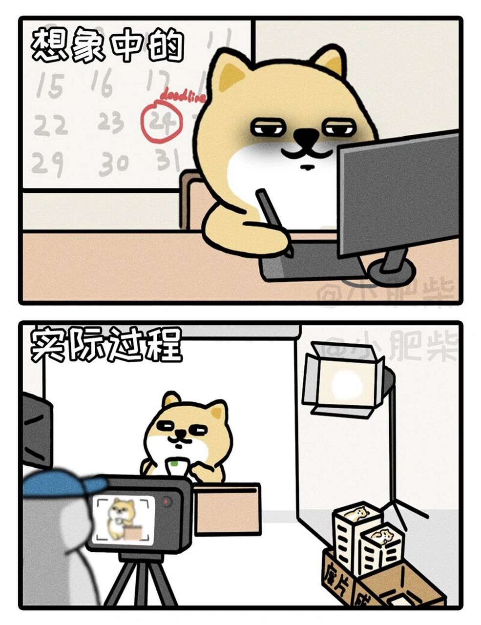 小肥柴表情制作(拍摄)大爆料 来康康小肥柴表情是怎么制作(拍摄)的吧