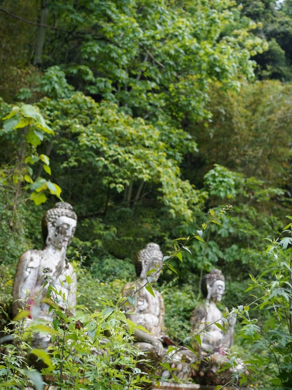 合川海佛寺水观音图片