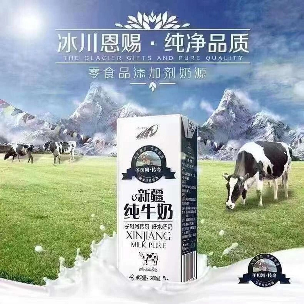 新疆子母河纯牛奶 97新疆子母河纯牛奶 一箱12个!