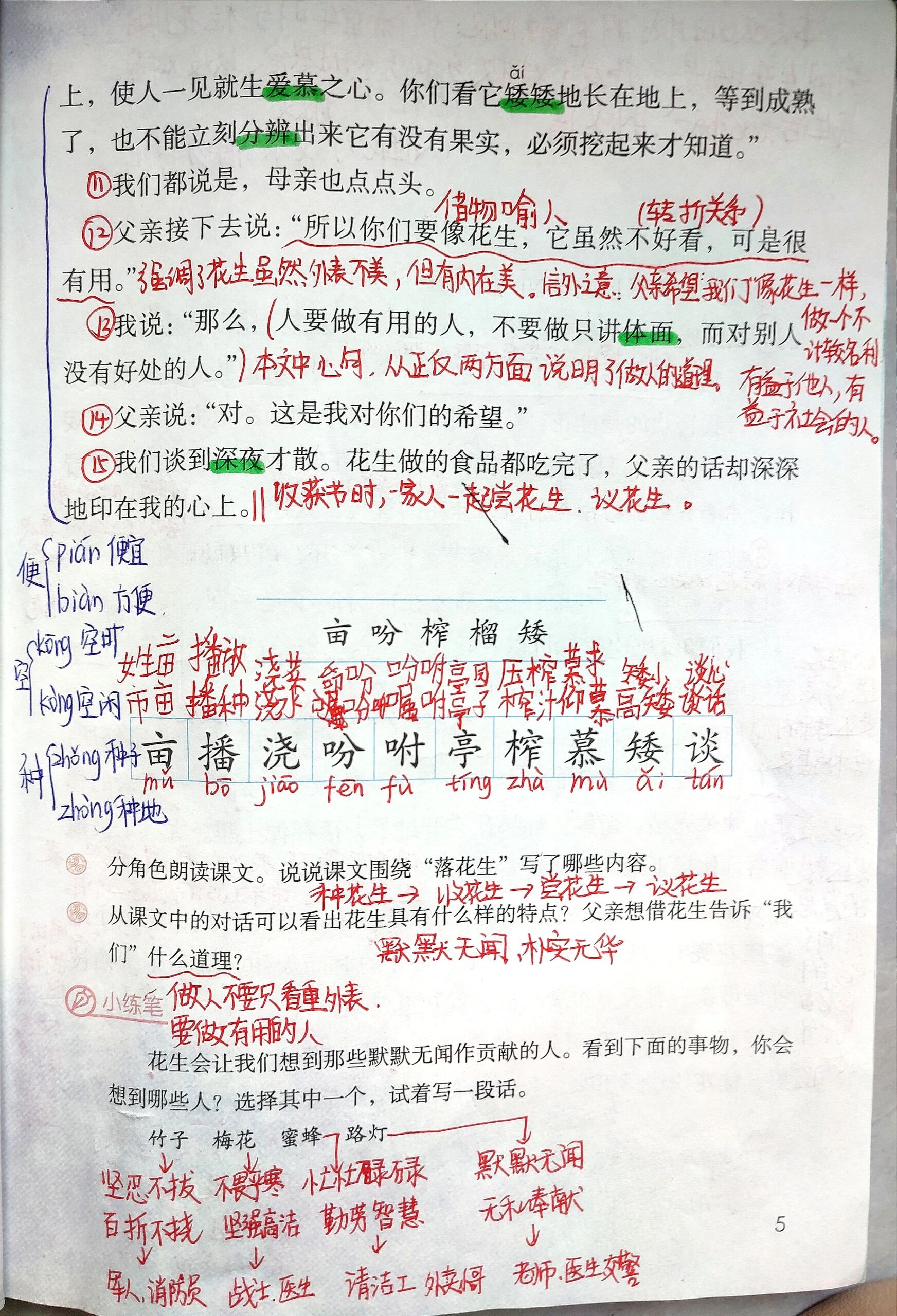 落花生教师笔记图片图片