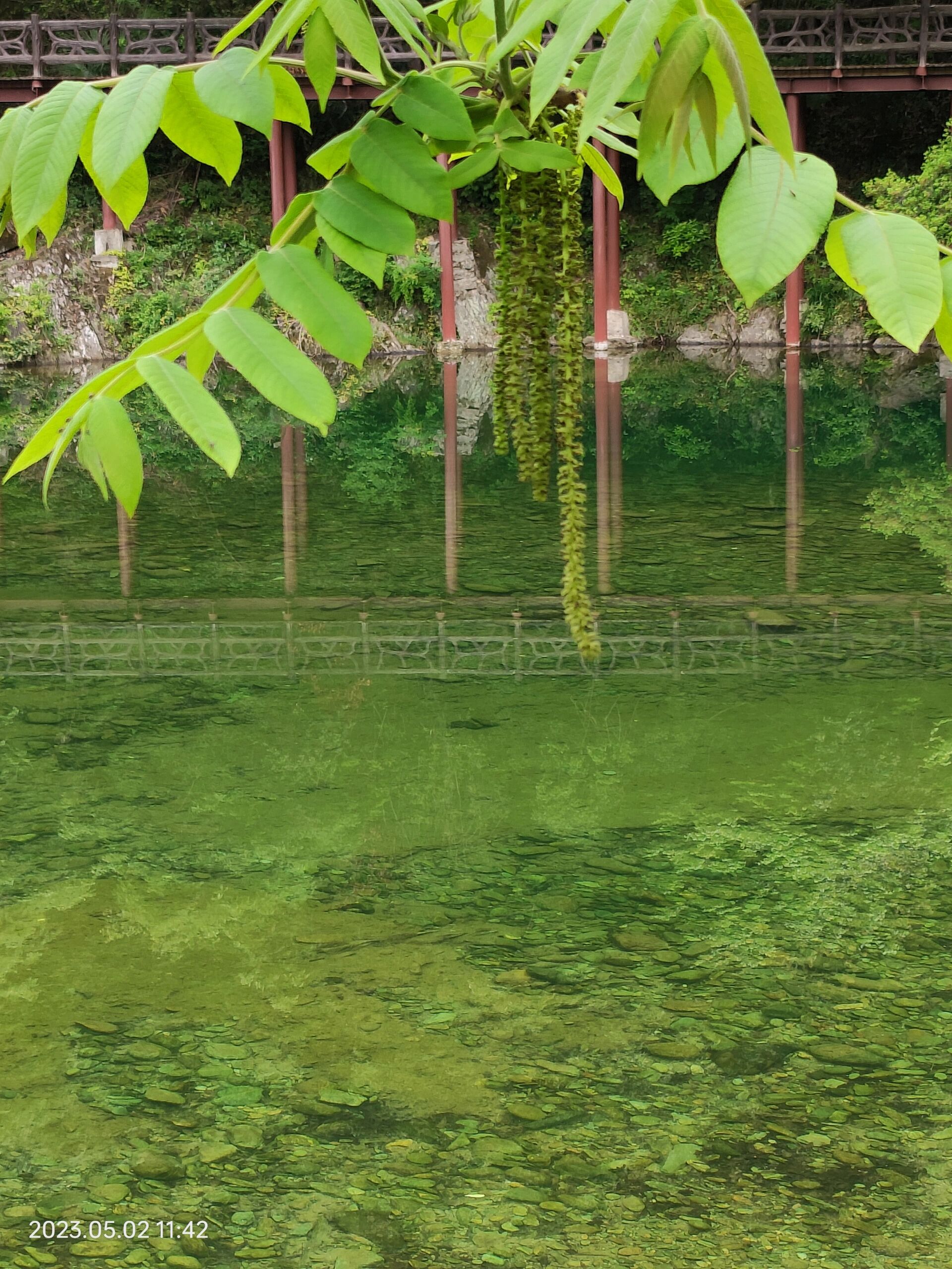 阳坝梅园沟一日游