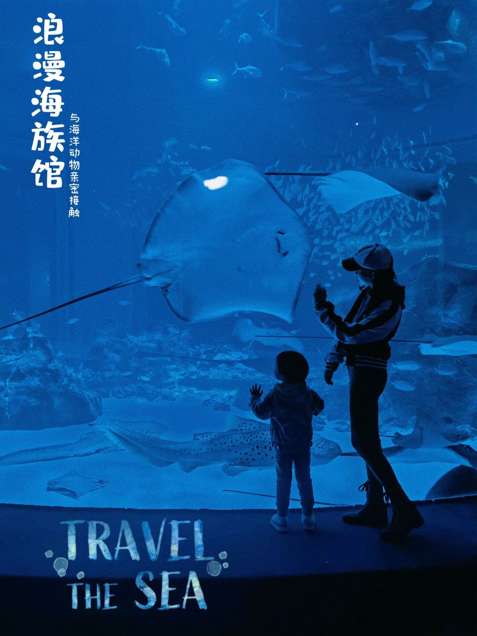 呼和浩特溜娃周边游566466|包头海洋馆 虽然海洋馆是包头,但我们