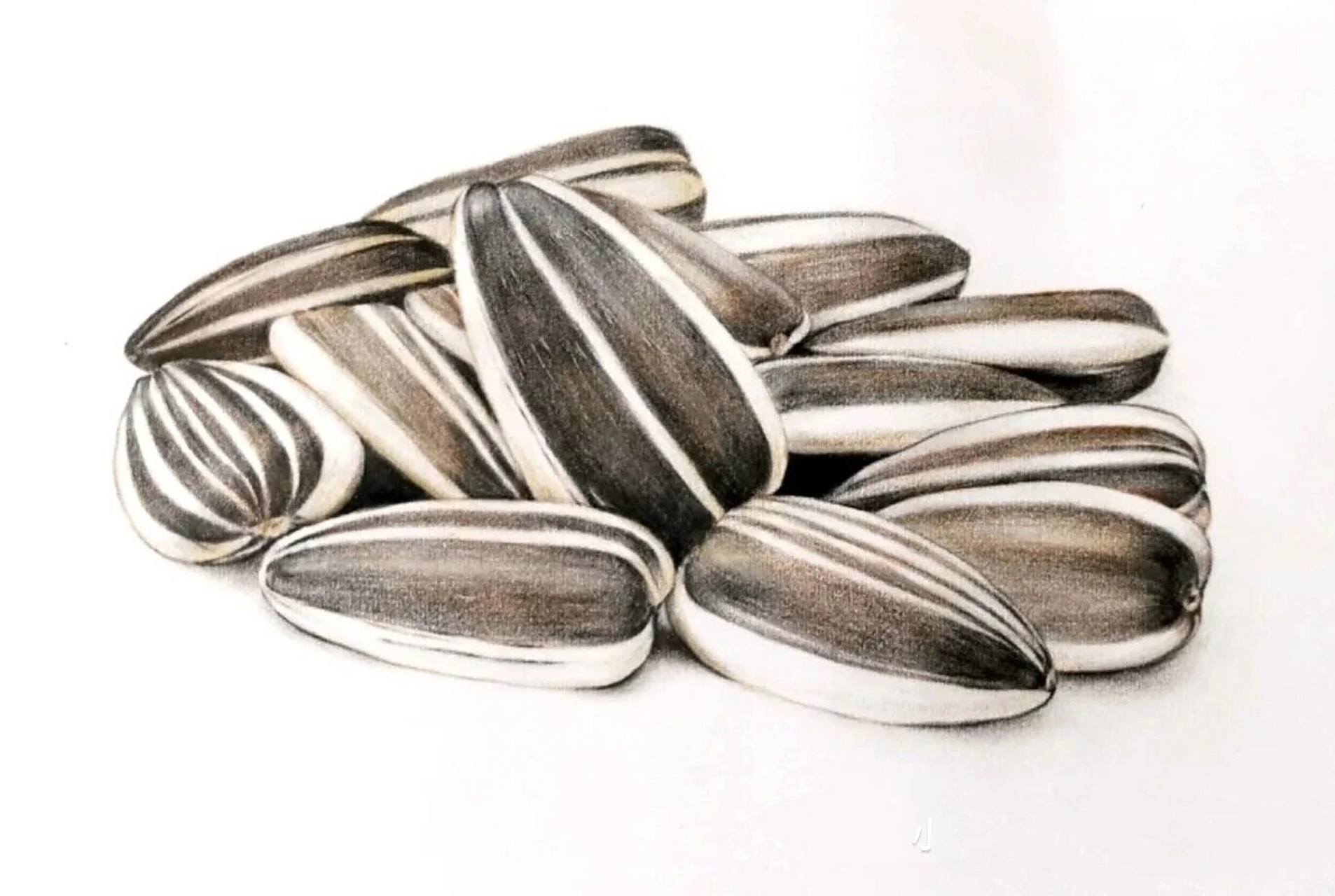 素描-瓜子(附步骤图) 基础素描瓜子,注意黑白灰关系