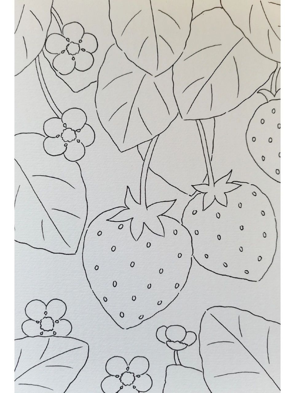 草莓简笔画 育儿创意画 草莓简笔画一幅,快带孩子画起来