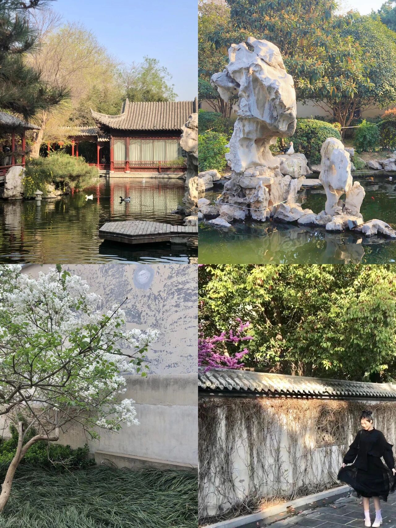 号称郑州小江南的紫荆山公园梦溪园,真的太太太有苏州园林的风范啦