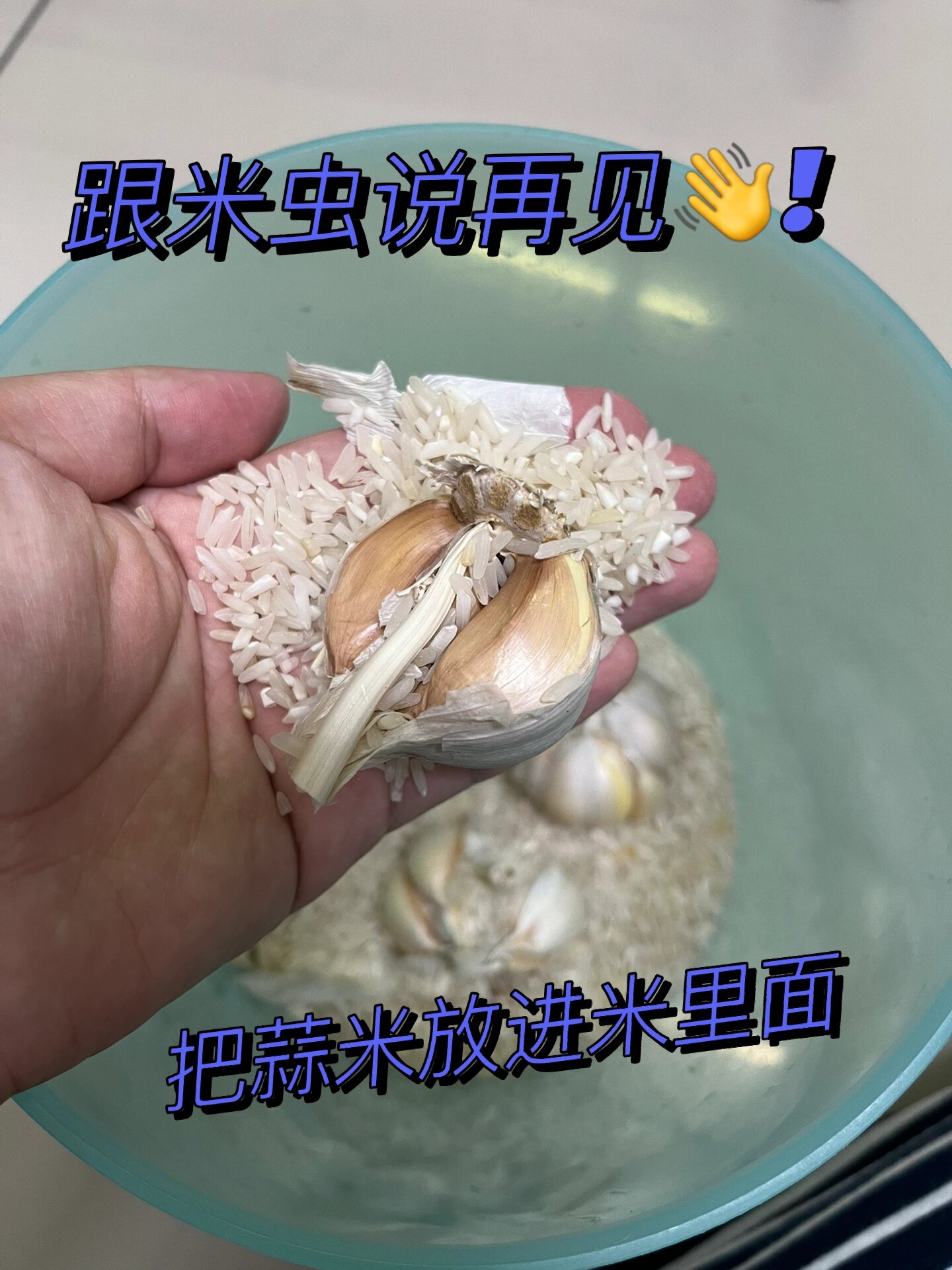 找到消灭米虫的好方法,跟它说再见!