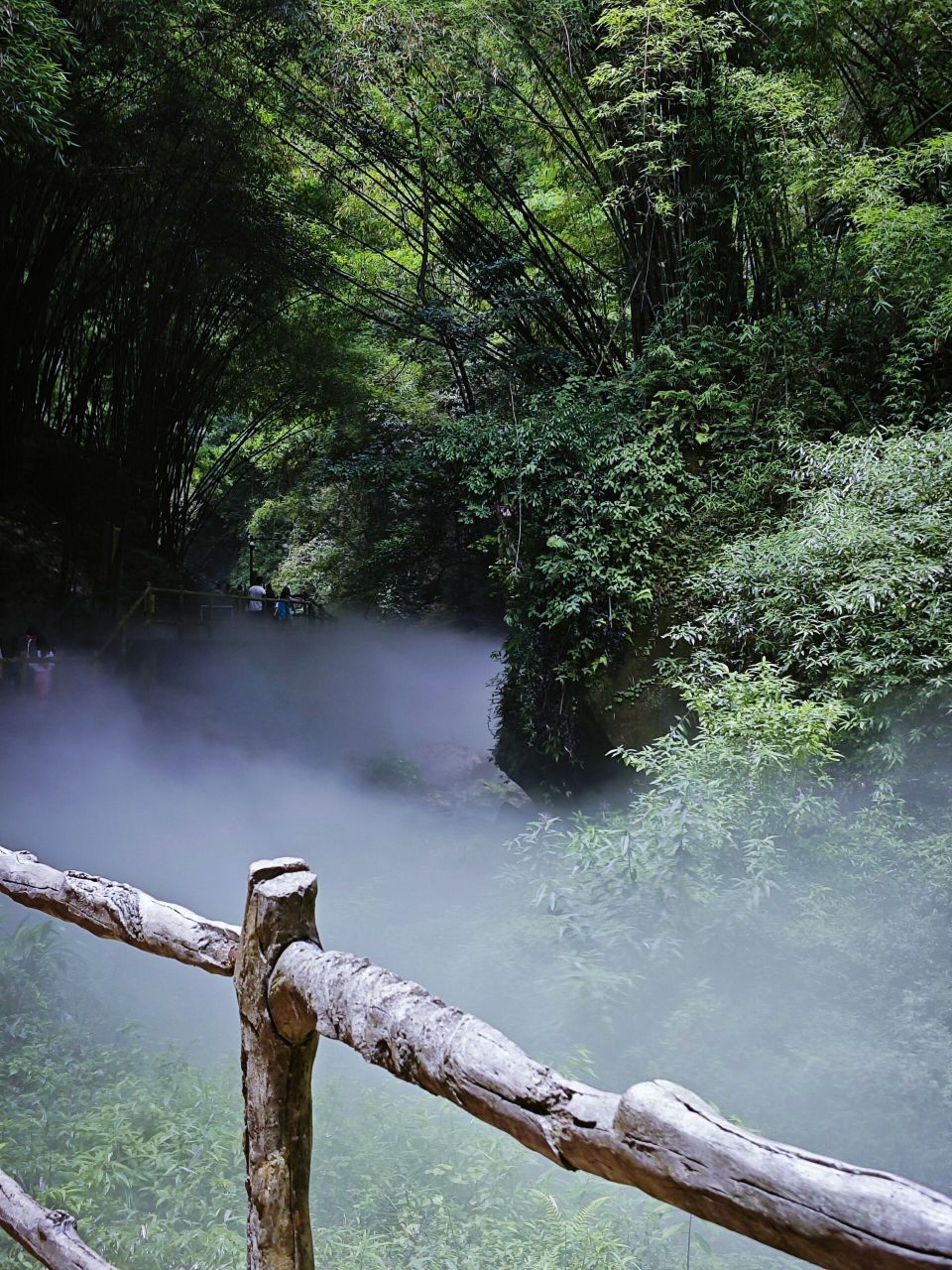 成都周边一日游-邛崃(川西竹海 平乐古镇) 感觉川西竹海99很值得一