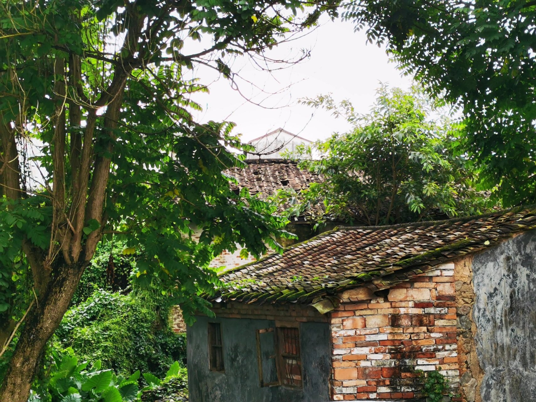 增城正果老街 畲族村 周六一早大雨过后,花1.