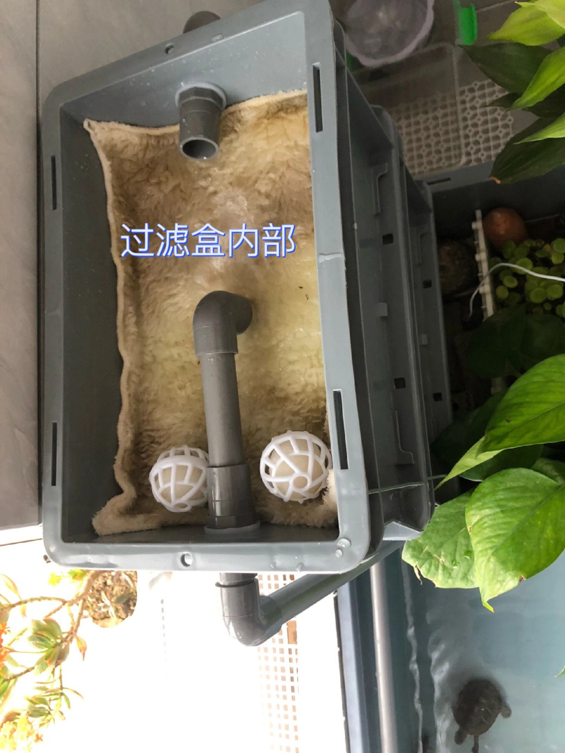 自制周转箱龟缸教程来咯