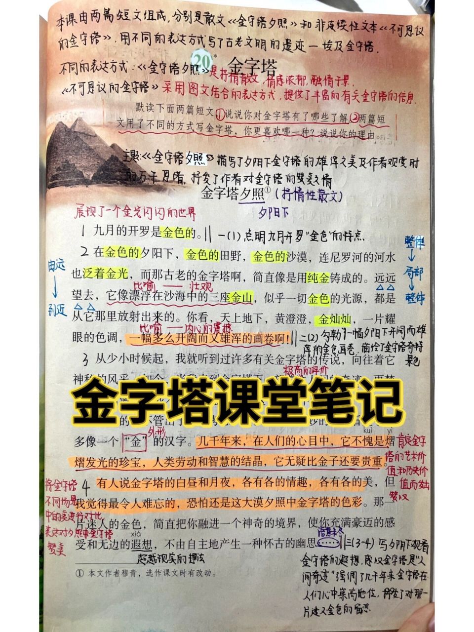 《金字塔》课堂笔记  金字塔备课