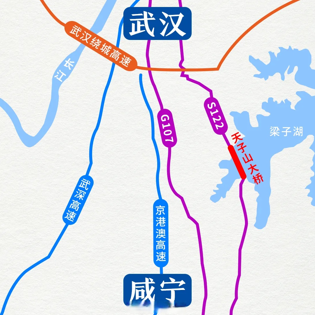 咸宁107国道改道线路图图片