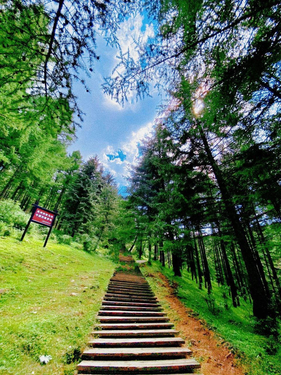 足迹93岚县*饮马池高山草甸 再不去就要收门票99啦～～～ 	 去年