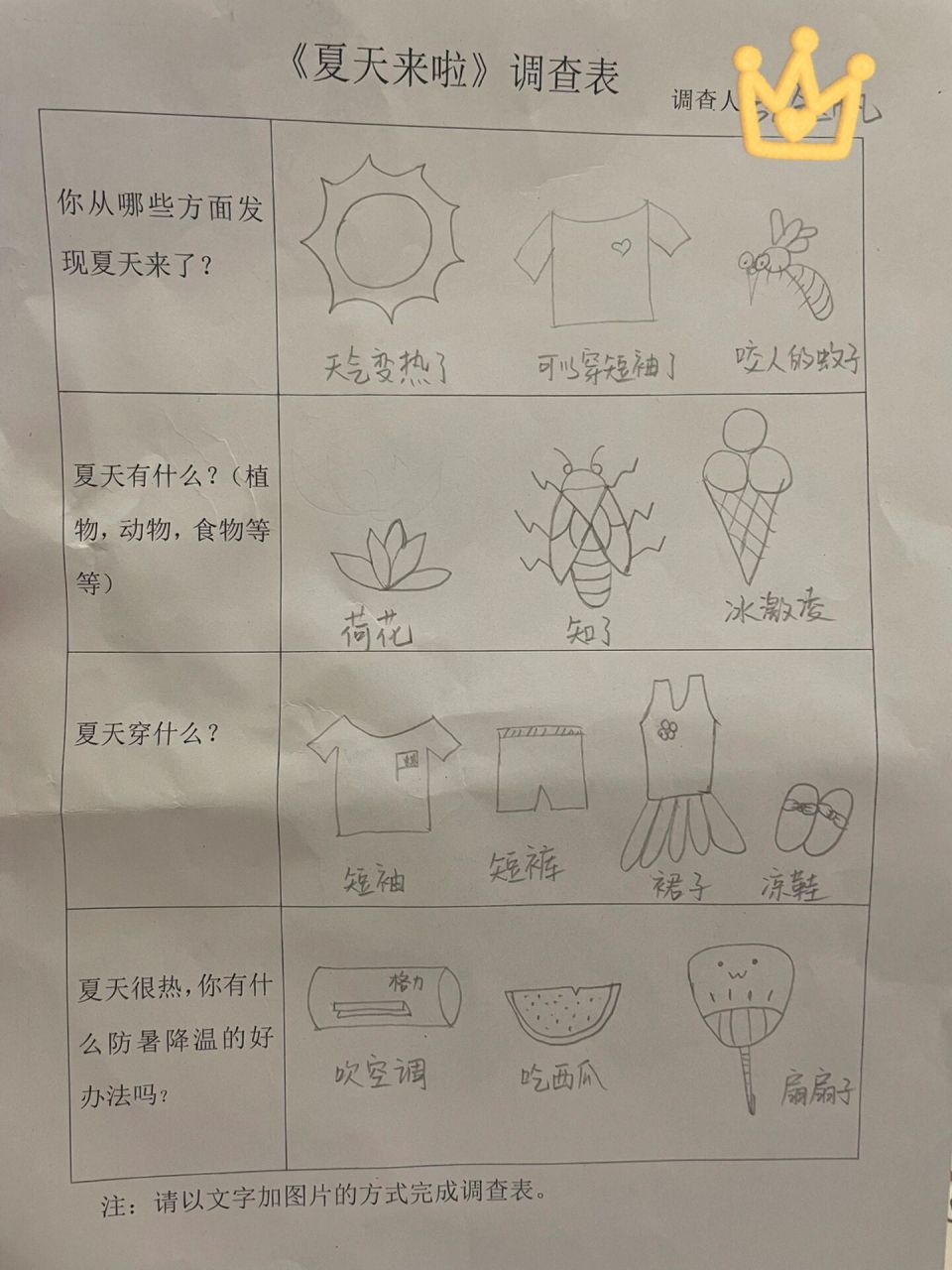 幼儿园夏天调查表图片