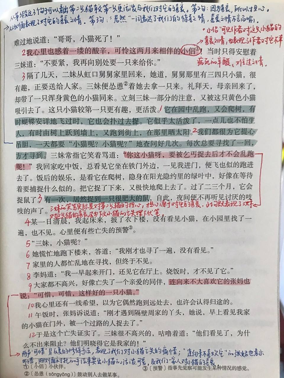 七上语《猫》课堂笔记