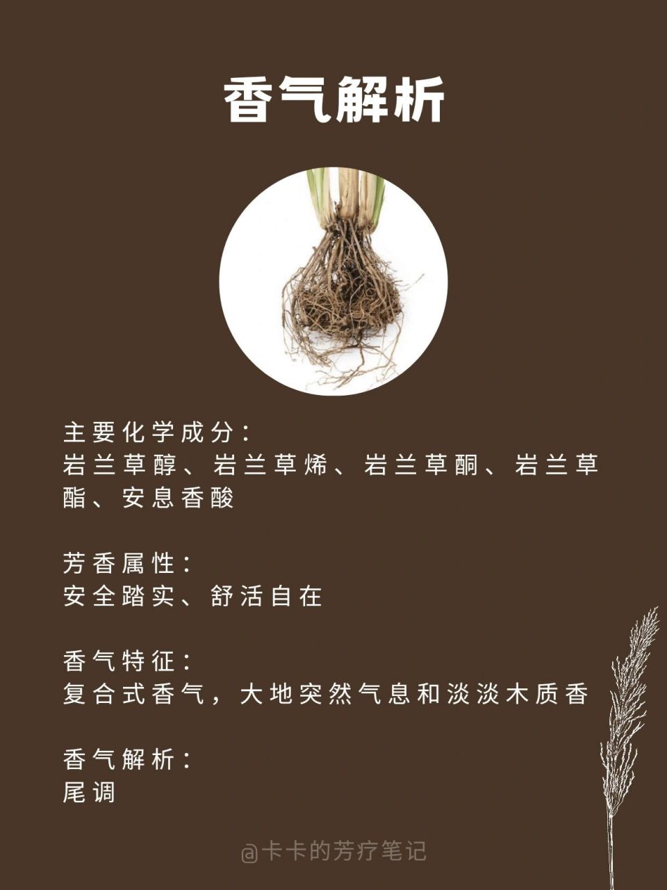 岩兰草的香气带着一丝丝药草和泥土的味道,会让人从烦扰的思绪中安静