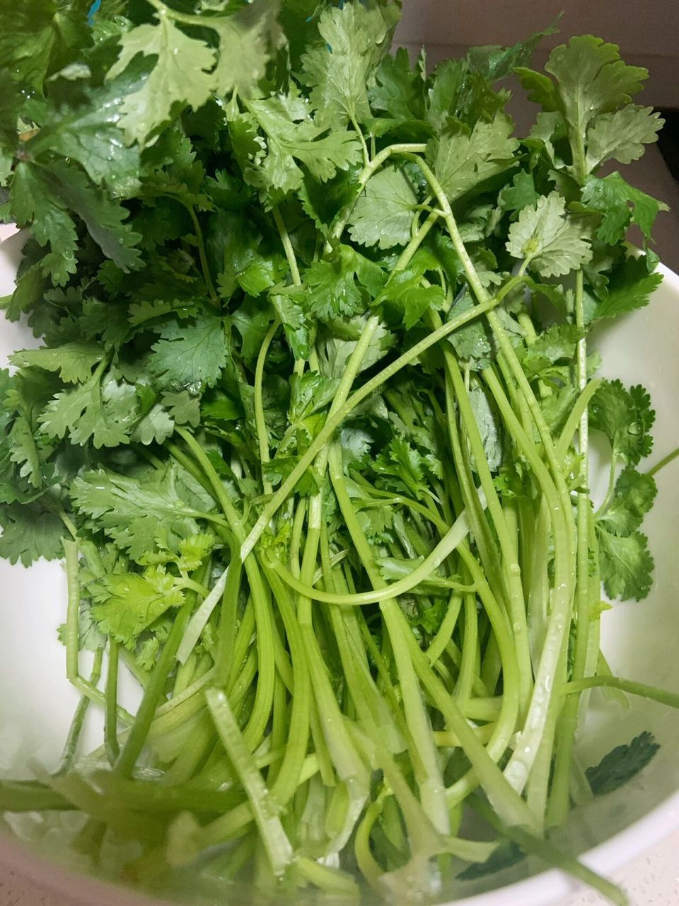 香菜拌花生米 香菜一把 花生米一盘 香菜去根洗干净 花生米侵泡七分钟