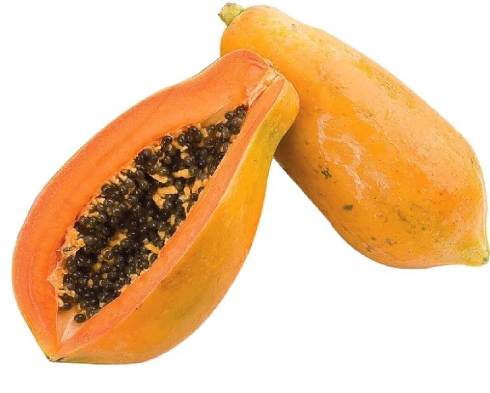 木瓜图片素材|美术课用写生素材