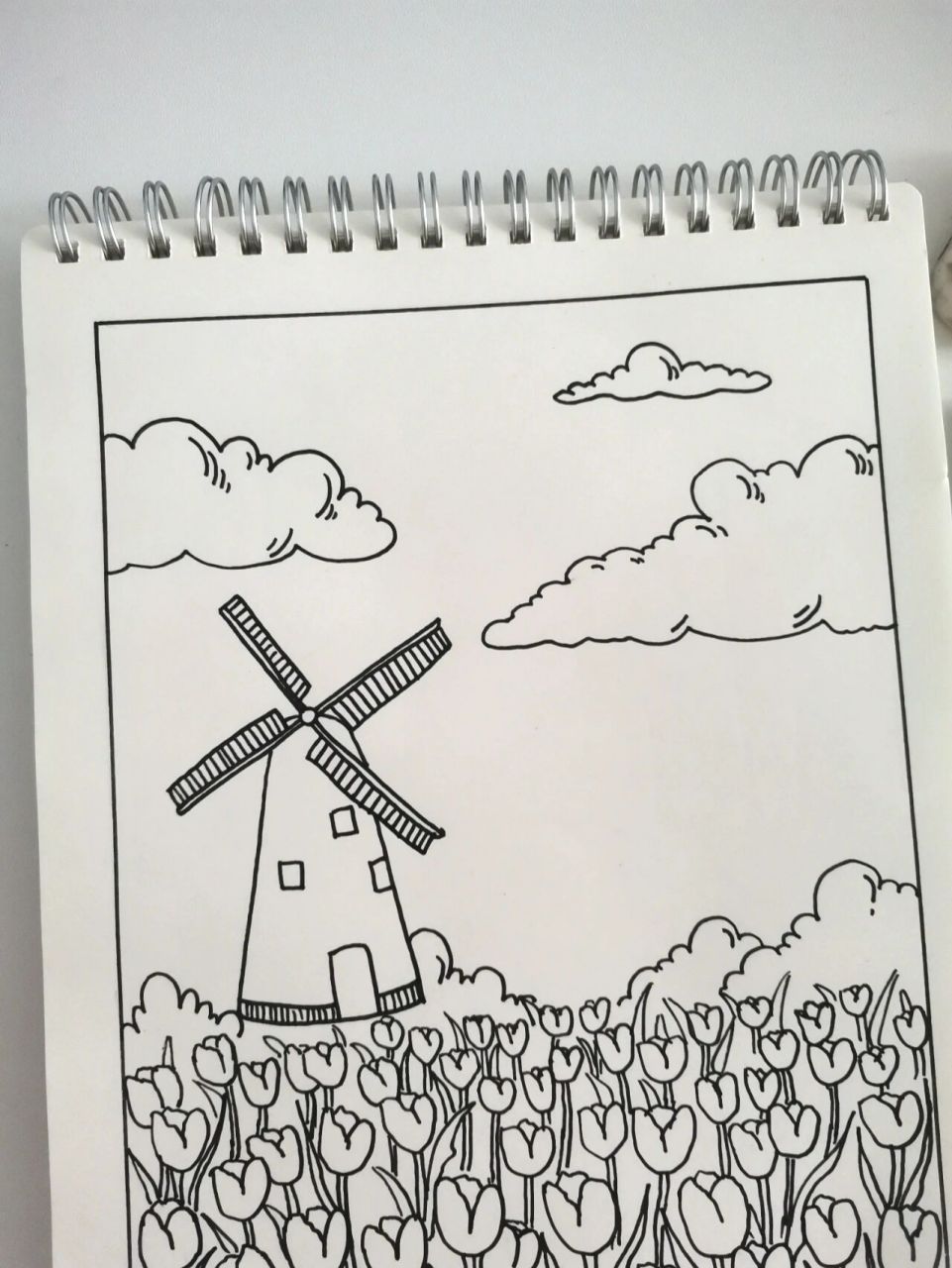 郁金香花海风景简笔画场景画法-原创76