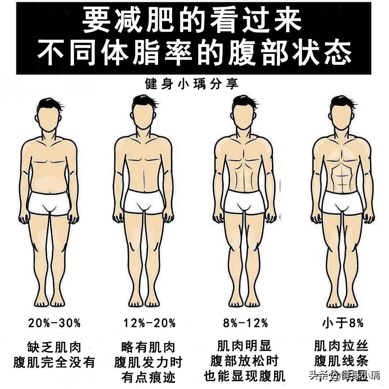 不同体脂率的腹部状态是什么样?