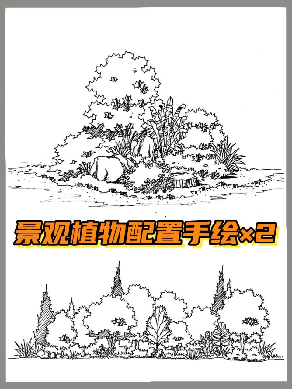 景观植物配置手绘立面 平面  植物配置立面手绘×2 左滑看平面图