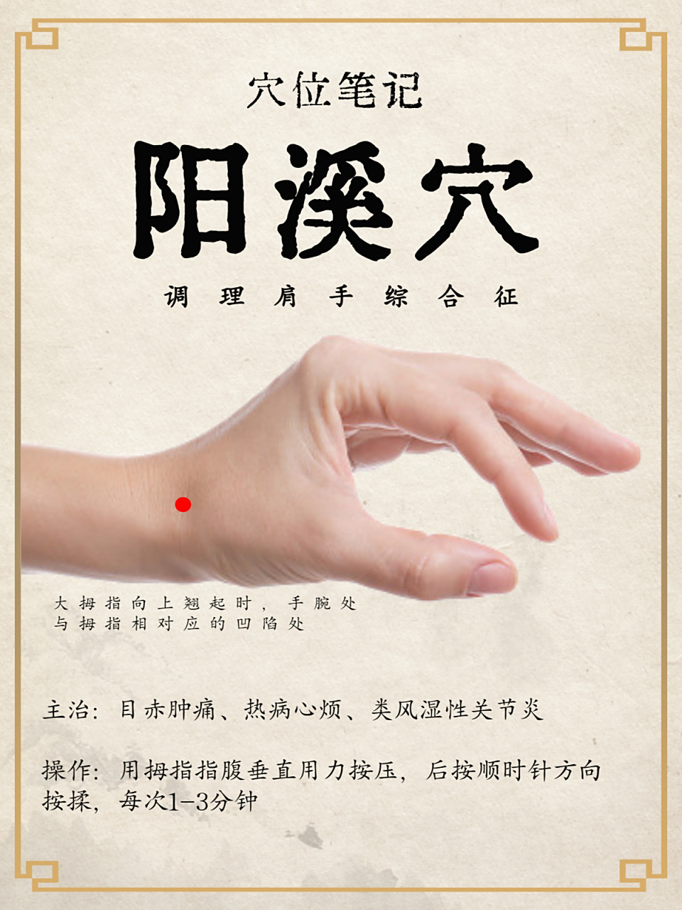 穴位学习每日打卡-10:阳溪穴 调理肩手