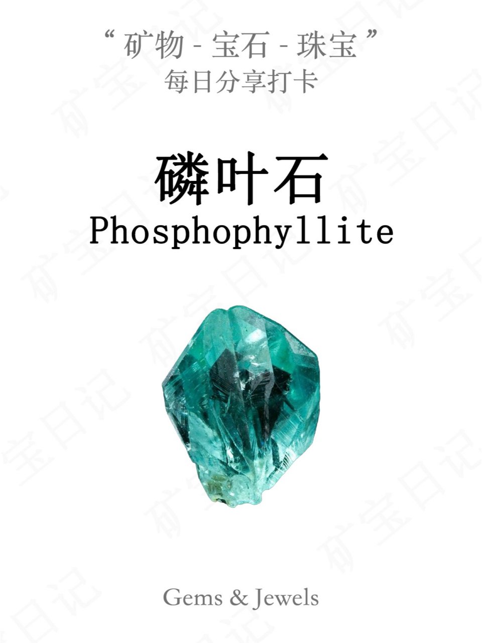 磷叶石|每日打卡一种矿物宝石✔day 60 磷叶石因其化学组成中含有磷
