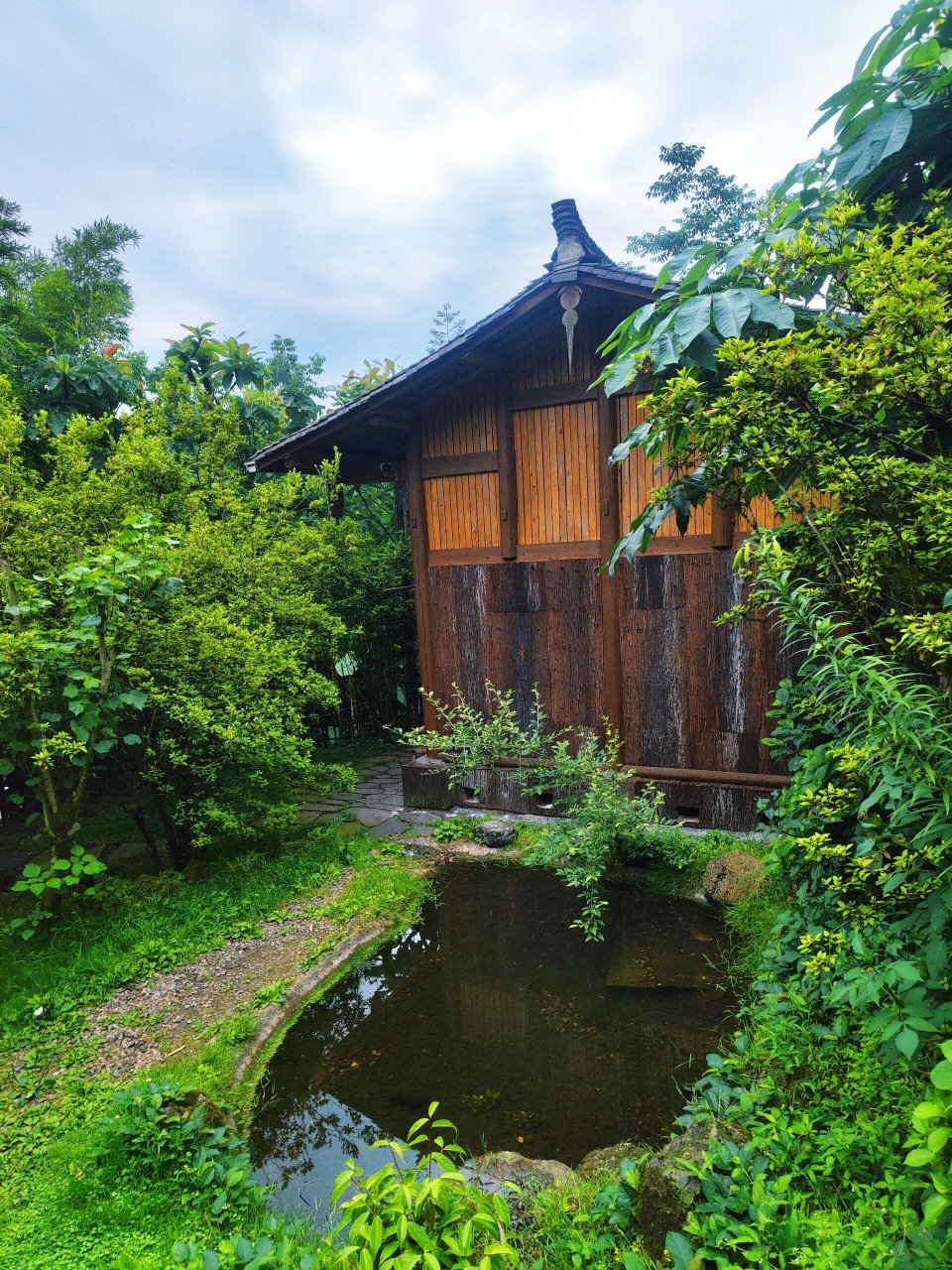 舒哥的农家乐——龙苍沟农家乐的天花板          夏天去雅安龙苍沟
