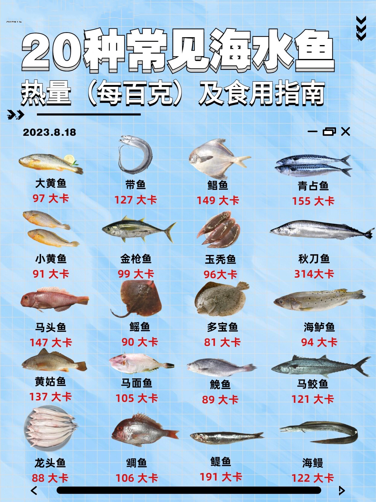 食用海鱼名字图片